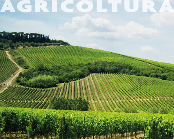 Agricoltura Agricoltura